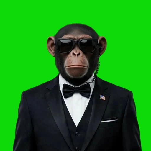 Agent Ape, headset on, black tie, green screen